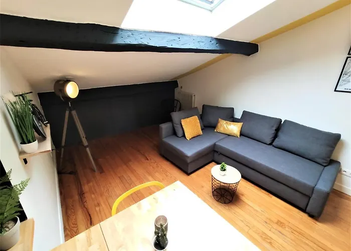 La Terrasse De Jeanne - Vue Magnifique - Netflix * Toulouse