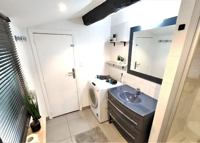 Apartament La Terrasse De Jeanne - Vue Magnifique - Netflix Tuluza