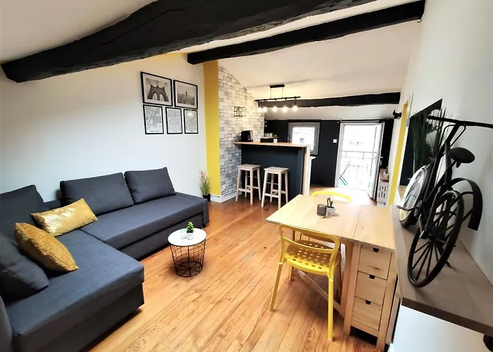 La Terrasse De Jeanne - Vue Magnifique - Netflix Tolosa